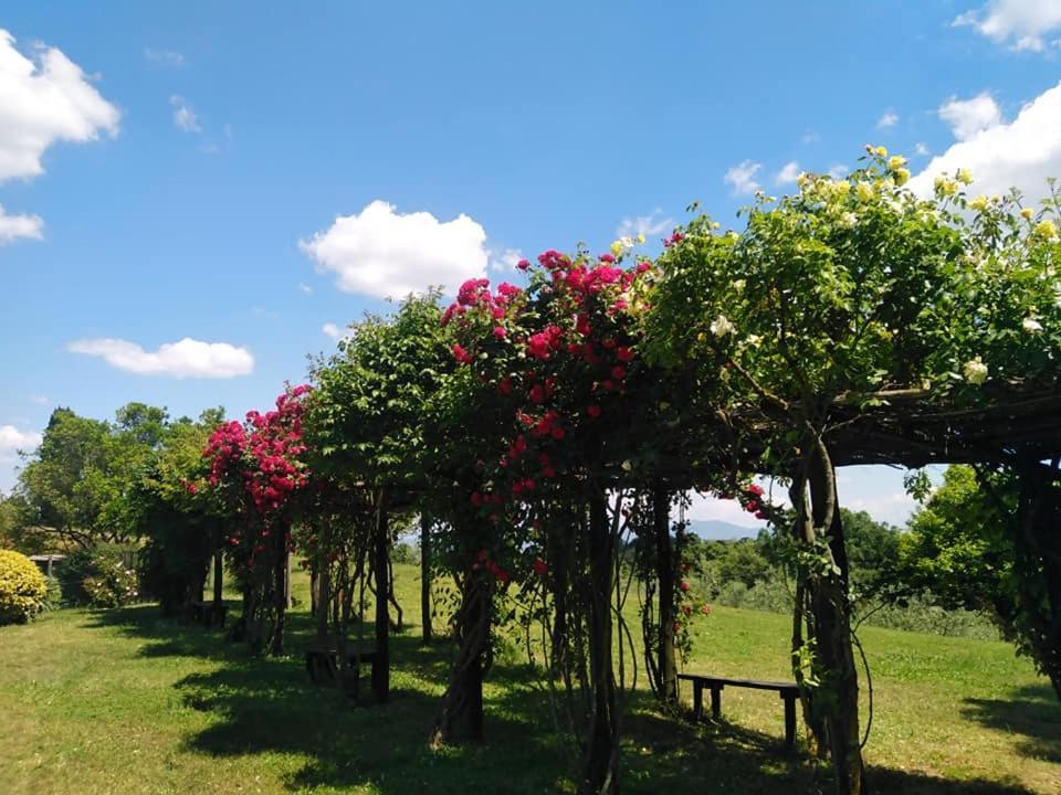 Locanda Rosati Орв'єто Екстер'єр фото