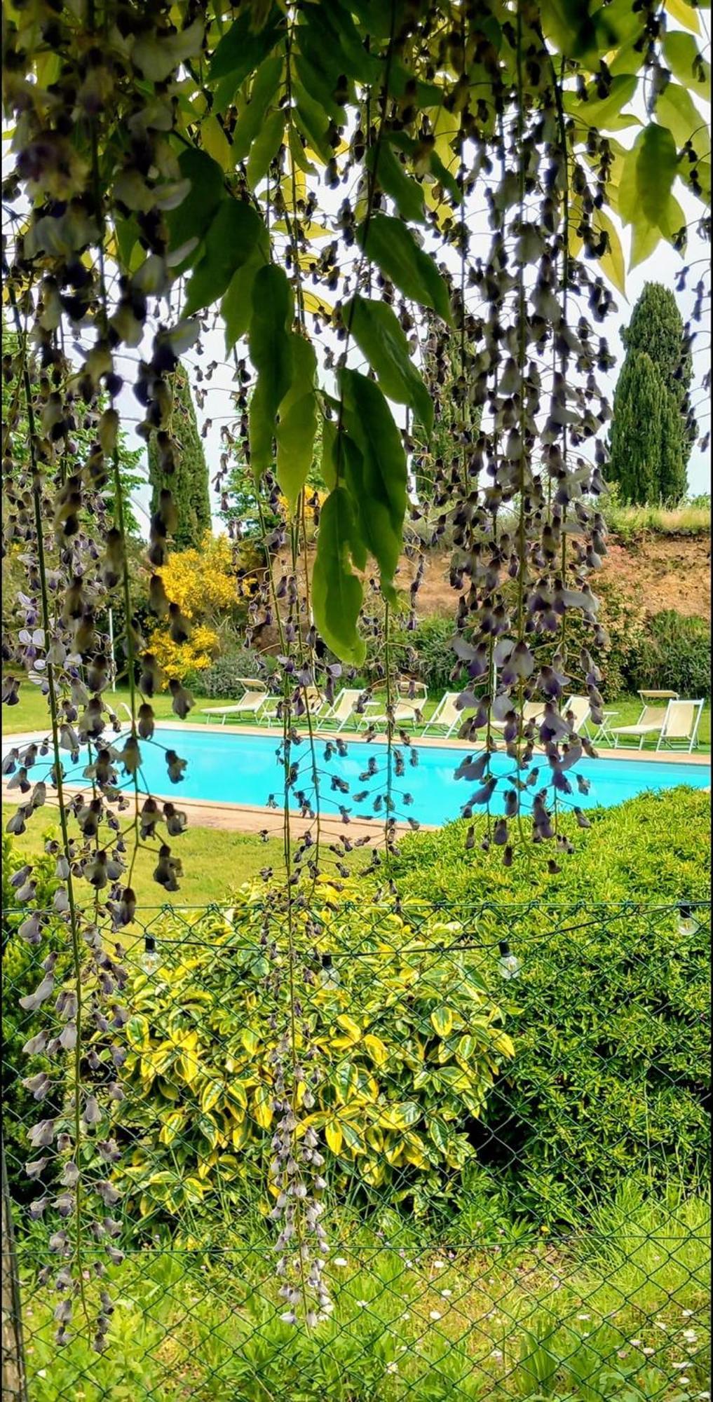 Locanda Rosati Орв'єто Екстер'єр фото