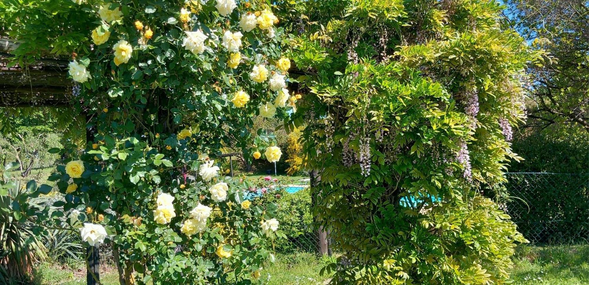 Locanda Rosati Орв'єто Екстер'єр фото